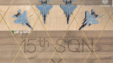 السرب 15