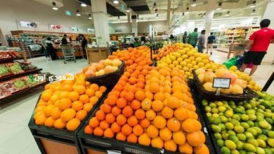 فحص المنتجات الغذائية عند وصولها إلى أسواق الخضار والفواكه واللحوم لتعزيز سلامتها