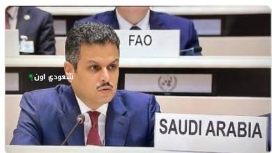 تمويل العمل المناخي