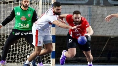 دوري محترفي اليد