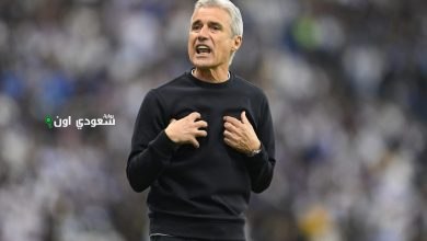 لويس كاسترو
