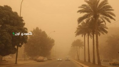 استمرار تأثير الرياح النشطة المثيرة للأتربة على معظم المناطق