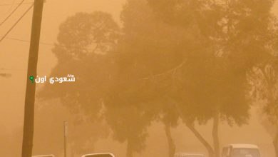 عوالق ترابية تؤثر على القطاع التهامي في الباحة