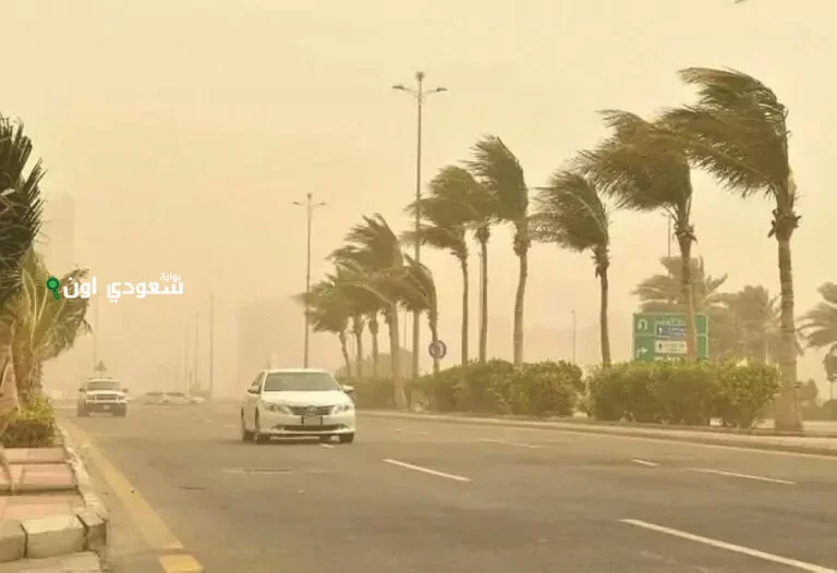تدني الرؤية حتى الثامنة مساءً بسبب العوالق الترابية بالباحة