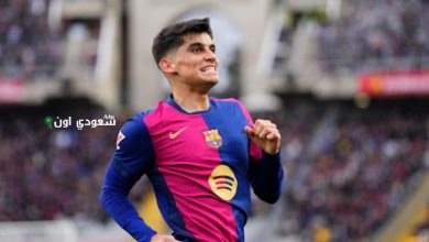 جيرارد مارتن