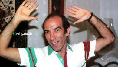 نجاح الموجى