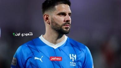 ميتوفيتش