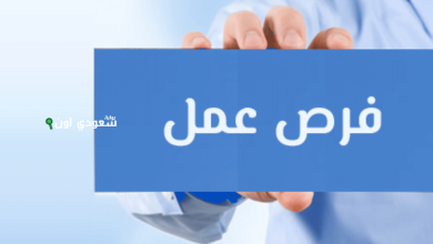 30 وظيفة شاغرة لمهندسي الكهرباء أصحاب الدخل المتوسط