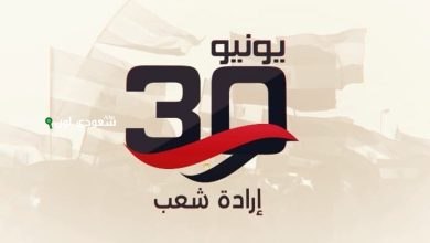 ثورة الثلاثين من يونيو