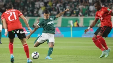 الأهلي وبالميراس