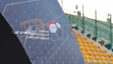 المنصورة يتعاون مع الأندية الشعبية للمطالبة بتفعيل رابطة خاصة لأندية القسم الثاني أ وب
