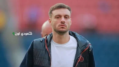 مارتن أنسيلمي