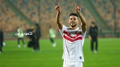 نبيل عماد