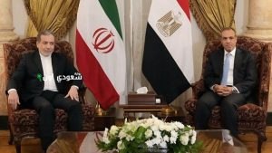 وزير الخارجية يلتقي نظيره الإيراني