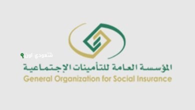 تطبيق نظام التأمينات الجديد يبدأ غدًا بشكل رسمي