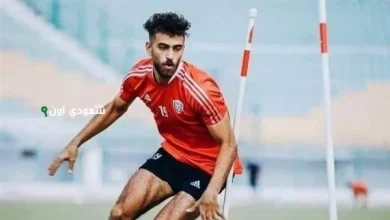يسرى وحيد