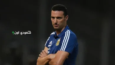 سكالوني