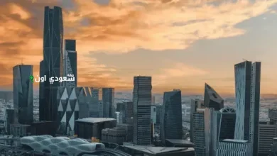 السعودية تنضم للمجموعة الدولية للإحصاءات