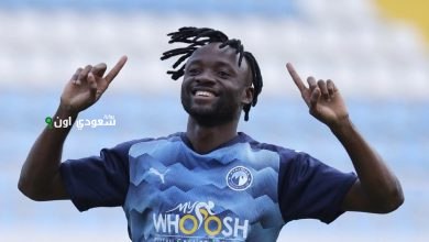 ماييلي