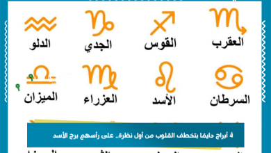 4 أبراج دايمًا بتخطف القلوب من أول نظرة.. على رأسهم برج الأسد