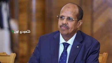 وزير الخارجية ووزير خارجية جيبوتي يعقدان اجتماع لجنة المشاورات السياسية المشترك