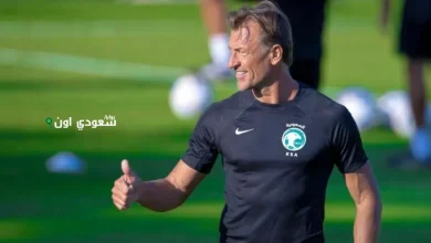 إيرفي رينارد