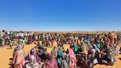 النقص الحاد في المواد الغذائية في الفاشر