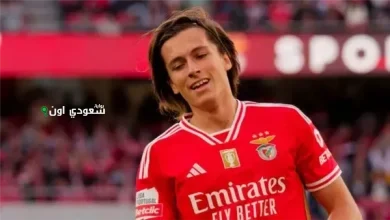 كاريراس