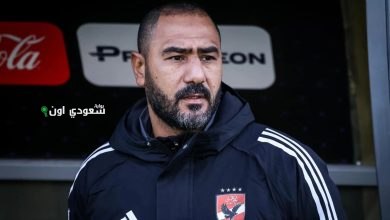 محمد شوقي