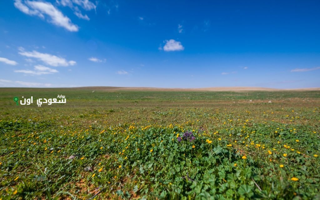 محمية الإمام تركي تحتفل باليوم العالمي لمكافحة التصحر تحت شعار “معاً لبيئة أكثر ازدهاراً”