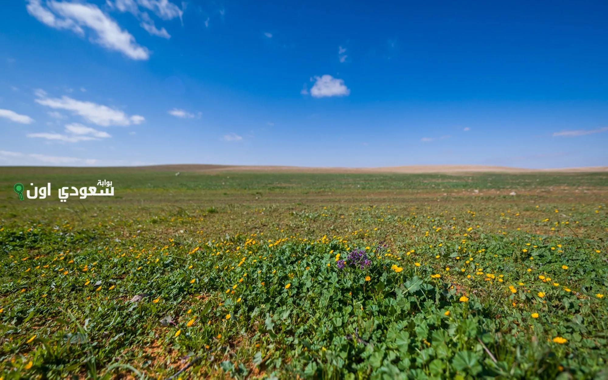 محمية الإمام تركي