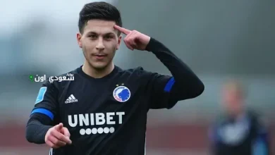 روني بردغجي