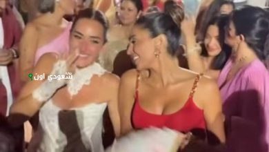 دينا الشربينى