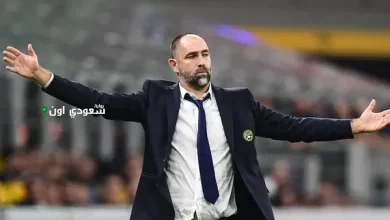 إيجور تودور