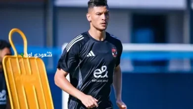 أشرف داري