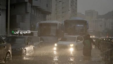 «الأرصاد» تحذر من أمطار وأتربة مثارة ورياح نشطة في منطقة جازان