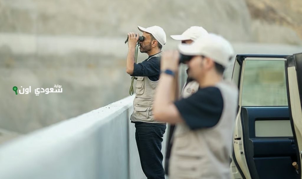 موسم حج للمرة الثالثة دون وجود قرود البابون في مكة