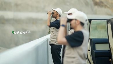 موسم حج للمرة الثالثة دون وجود قرود البابون في مكة
