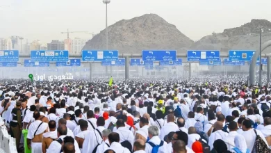 تنظيم وتحسين خدمات حج 1446