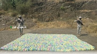 احباط تهريب 900 كجم من المخدرات