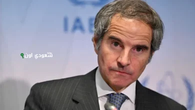 إيران تؤكد عدم وجود تهديد لـ«غروسي»