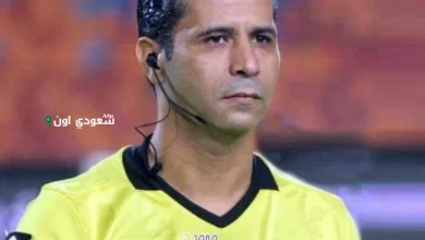 محمود عاشور