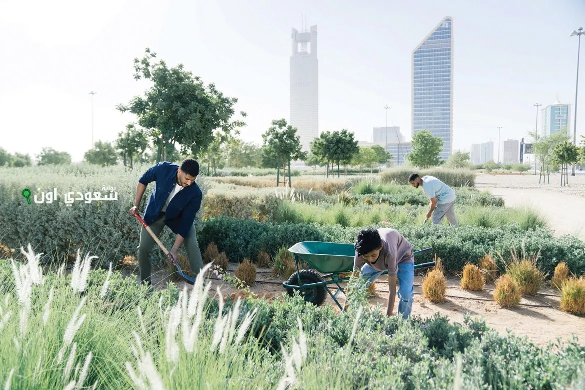 السعودية تسعى لتعزيز استدامة البيئة من خلال مبادرات للأراضي الخضراء الزراعية