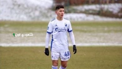 روني بردغجي