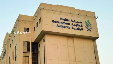 الحكومة الرقمية عن تحقيق زيادة ملحوظة
