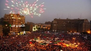 احتفالات بذكري 30 يونيو