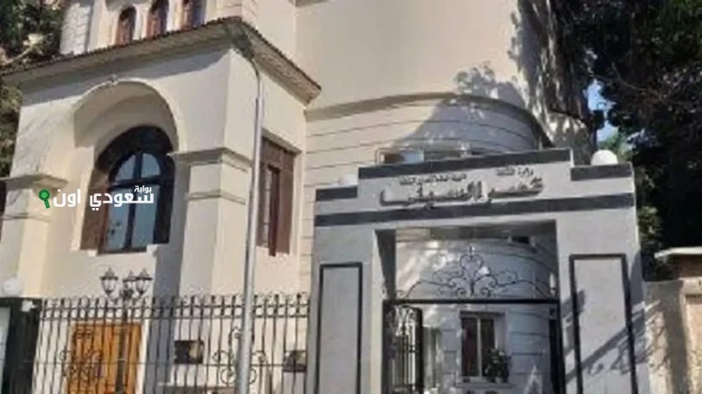 استمتع بعروض أفلام مجانية تعزز الوعي الفني في قصر السينما خلال شهر يونيو الحالي