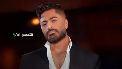 تامر حسني