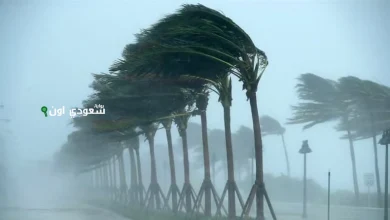 رياح شديدة تضرب حائل