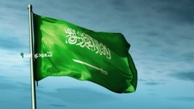 المملكة العربية السعودية